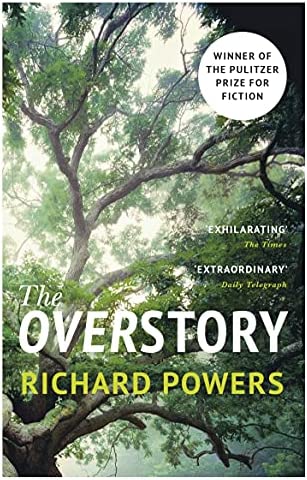 Overstory